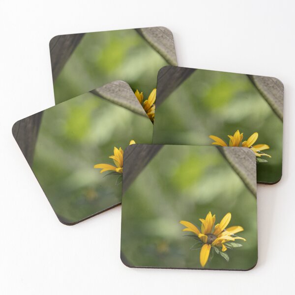 Item preview, Flower in a fence designed and sold by Calidris Fotografie Steffi & Ben Köppler.