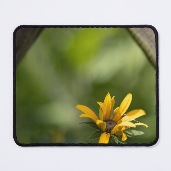Item preview, Flower in a fence designed and sold by Calidris Fotografie Steffi & Ben Köppler.