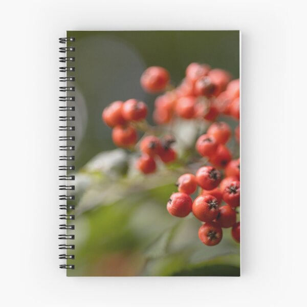 Artikelvorschau, Vogelbeeren entworfen und verkauft von Calidris Fotografie Steffi & Ben Köppler.