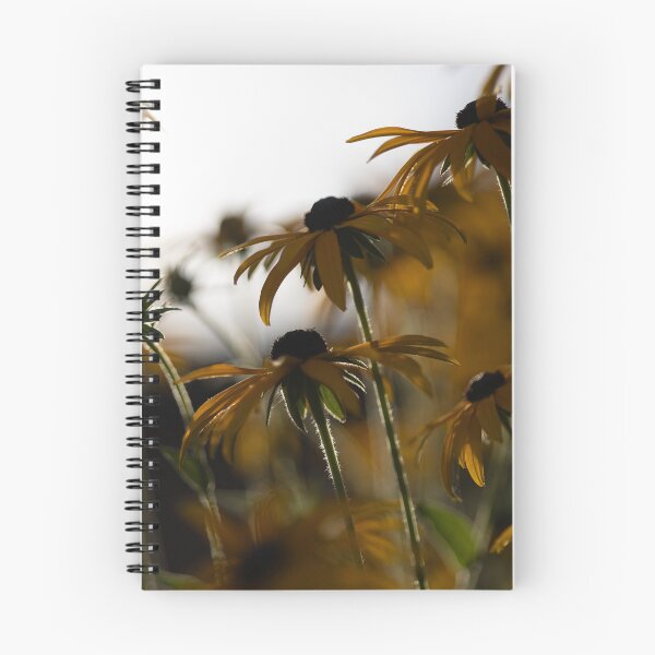Item preview, Black-eyed Susan designed and sold by Calidris Fotografie Steffi & Ben Köppler.