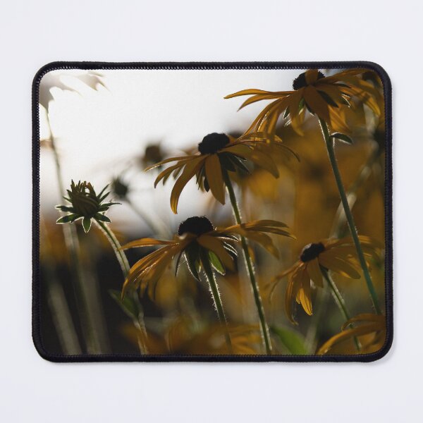 Item preview, Black-eyed Susan designed and sold by Calidris Fotografie Steffi & Ben Köppler.