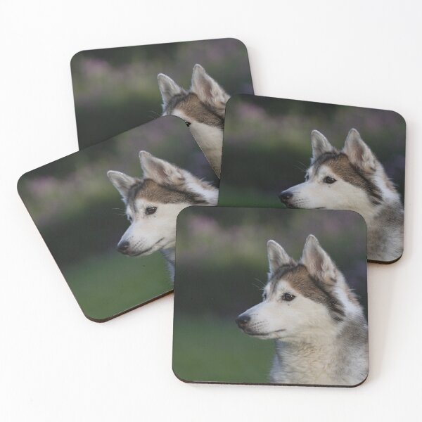 Item preview, Husky designed and sold by Calidris Fotografie Steffi & Ben Köppler.