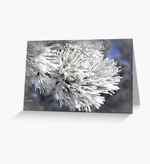 Winter Bloom Greeting Card
