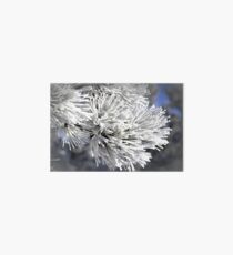 Winter Bloom Art Board