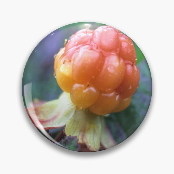 Item preview, Fresh cloudberry designed and sold by Sasas Design.