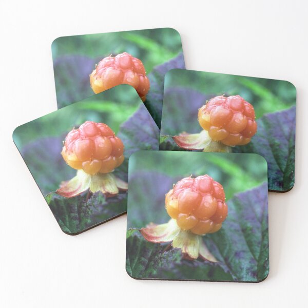 Item preview, Fresh cloudberry designed and sold by Sasas Design.