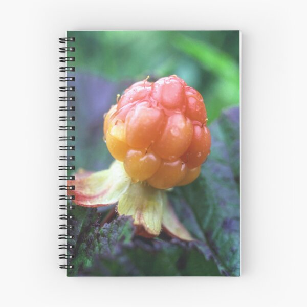 Item preview, Fresh cloudberry designed and sold by Sasas Design.
