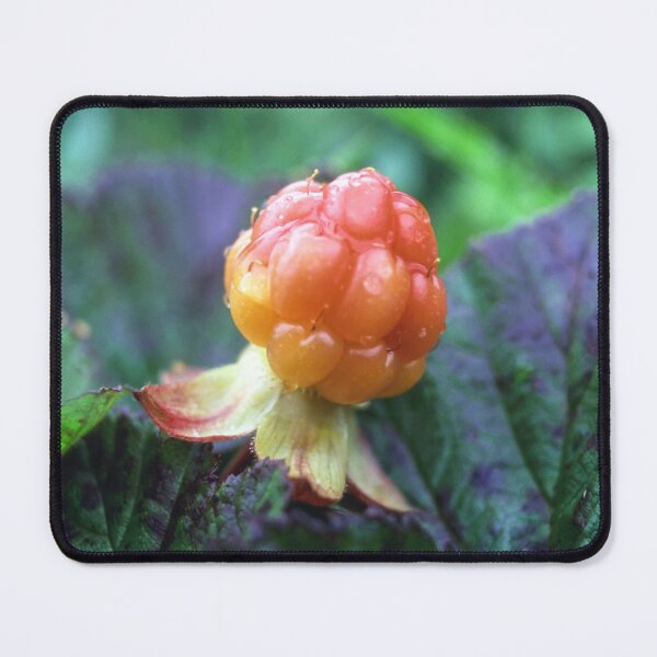 Item preview, Fresh cloudberry designed and sold by Sasas Design.
