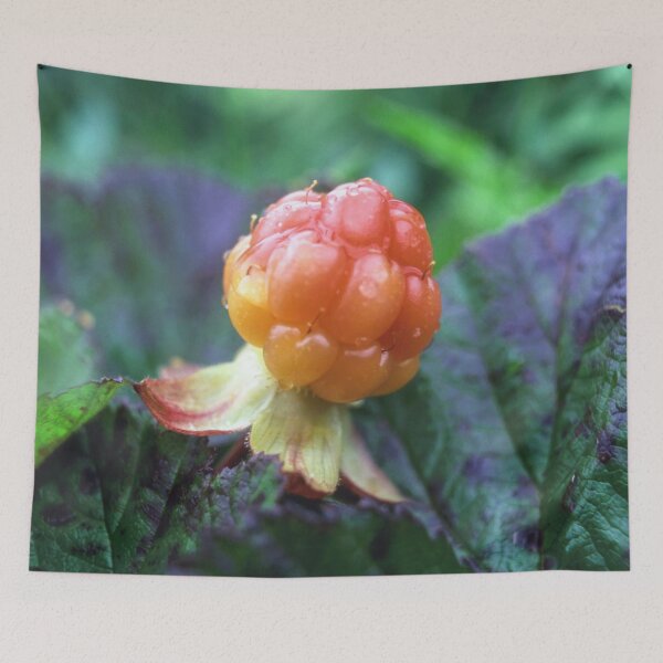 Item preview, Fresh cloudberry designed and sold by Sasas Design.