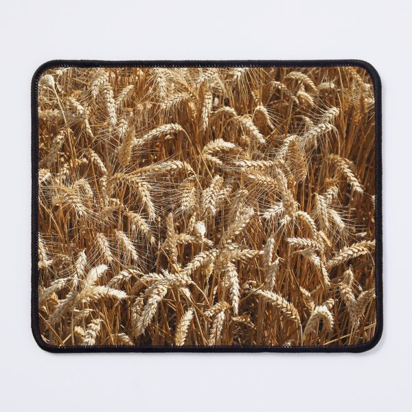 Item preview, Ears of Wheat designed and sold by Alex Cassels.