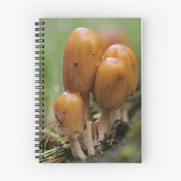 Item preview, Glistening Inkcaps designed and sold by ClarkeGreening.
