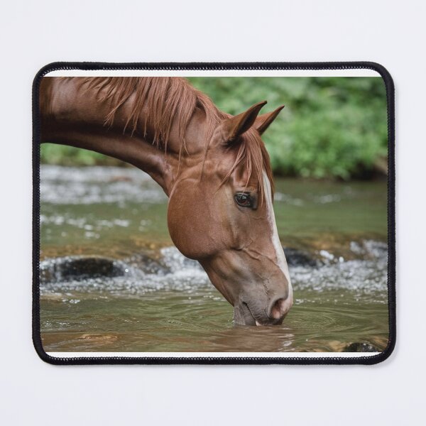 Item preview, Horse drinking water designed and sold by MushArtist.