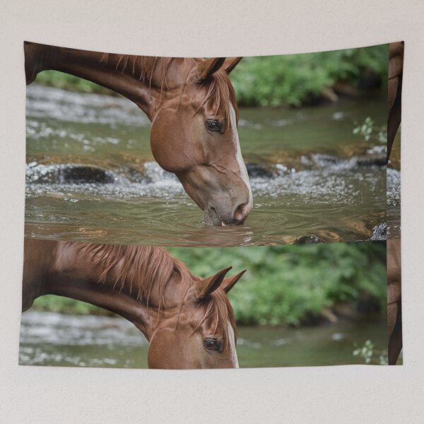 Item preview, Horse drinking water designed and sold by MushArtist.