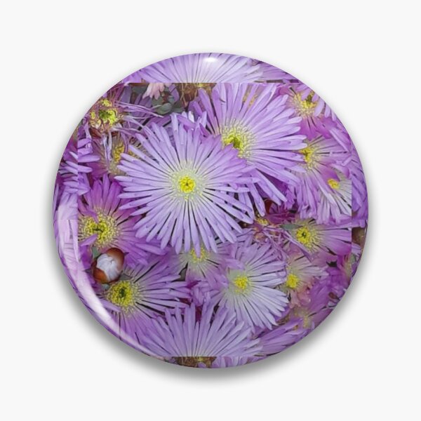 Item preview, Livingstone Daisy designed and sold by craftsbydaphy.