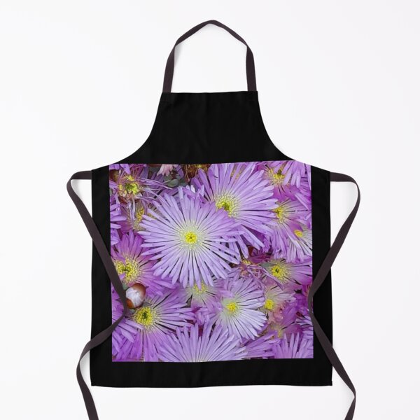 Item preview, Livingstone Daisy designed and sold by craftsbydaphy.