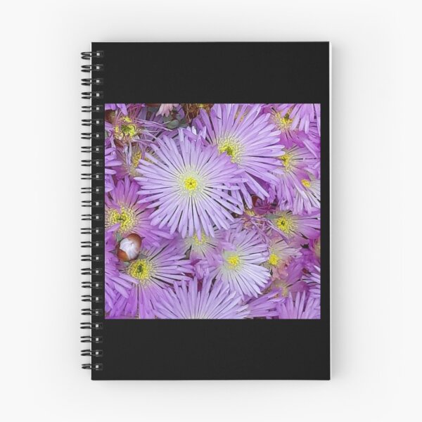 Item preview, Livingstone Daisy designed and sold by craftsbydaphy.