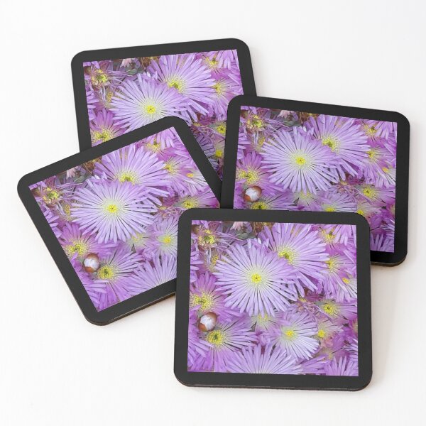 Item preview, Livingstone Daisy designed and sold by craftsbydaphy.
