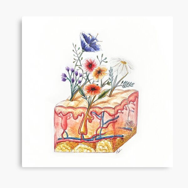 Item preview, Botanical Skin Anatomy designed and sold by Terouz.