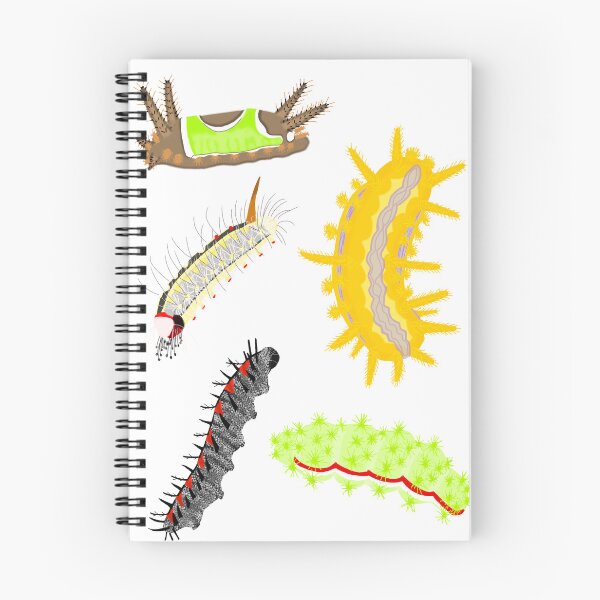 Item preview, Stinging Caterpillars of North Carolina designed and sold by Kittylunarcraft.