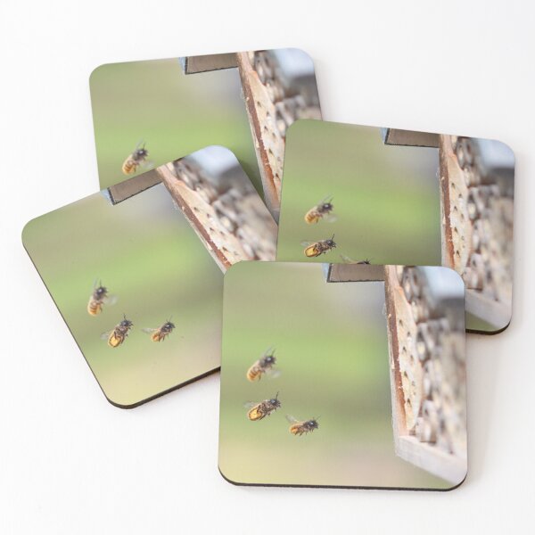 Item preview, Red mason bees laden with pollen designed and sold by GreyFeatherPhot.