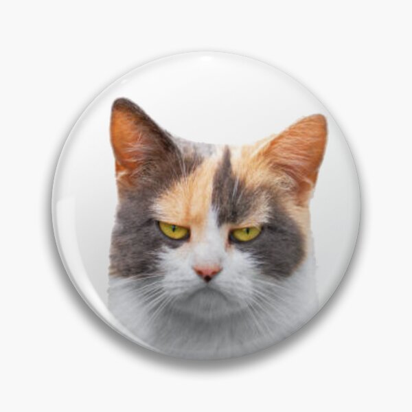 Item preview, SMUDGE CAT Sticker designed and sold by dex1one.
