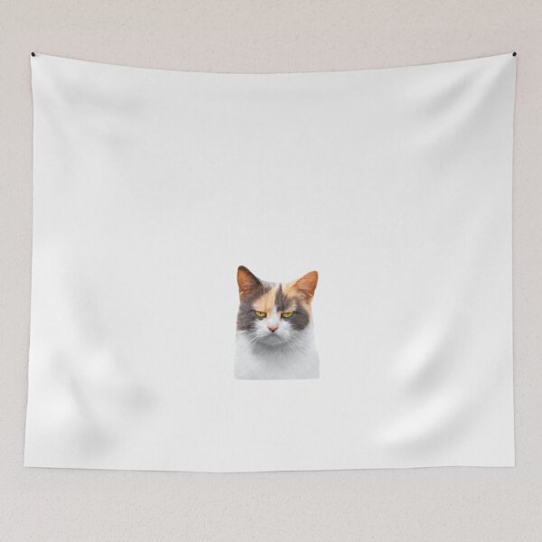 Item preview, SMUDGE CAT Sticker designed and sold by dex1one.