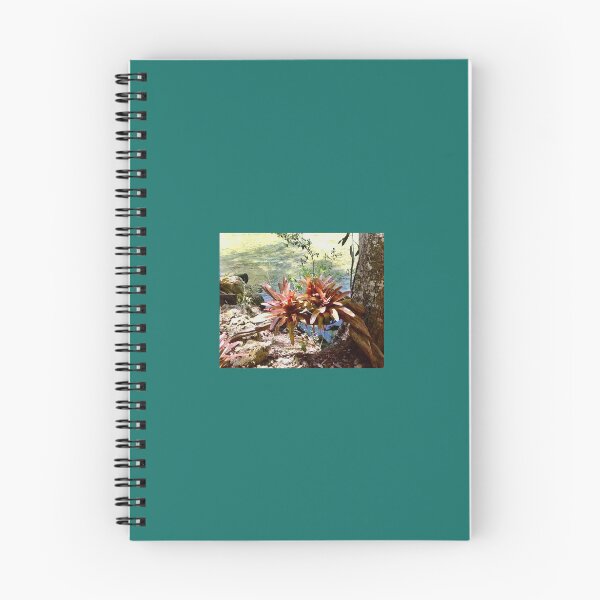 Item preview, ‘Sassa Springs designed and sold by Jane Evans.