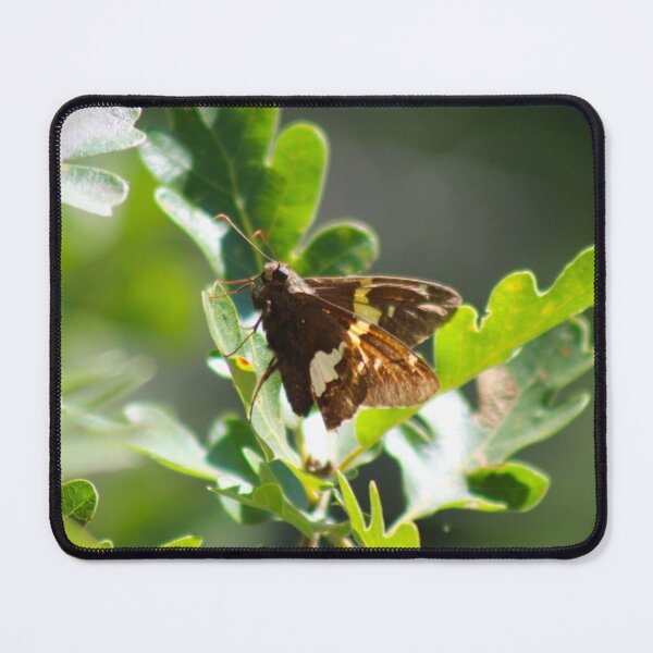 Item preview, Silver Spotted Skipper designed and sold by craftsbydaphy.