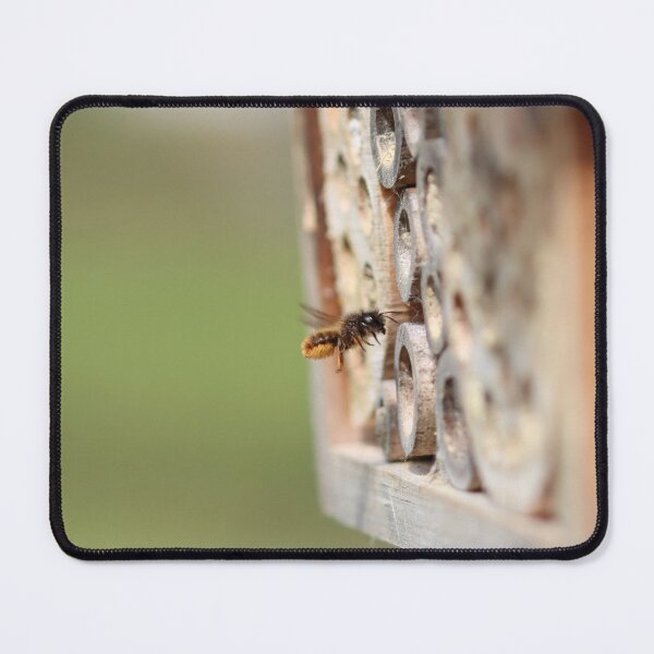 Item preview, Female red mason bee designed and sold by GreyFeatherPhot.