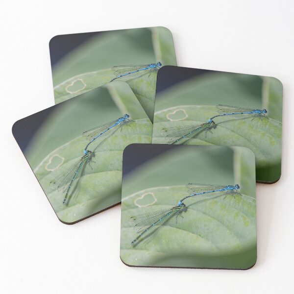 Item preview, Mating common blue damselflies designed and sold by GreyFeatherPhot.