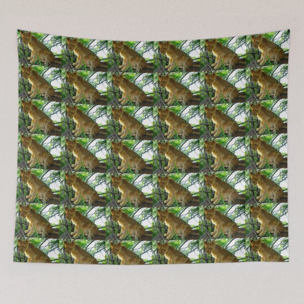 Item preview, Lion Cub, Zambezi National Park, Zimbabwe designed and sold by vadim19.