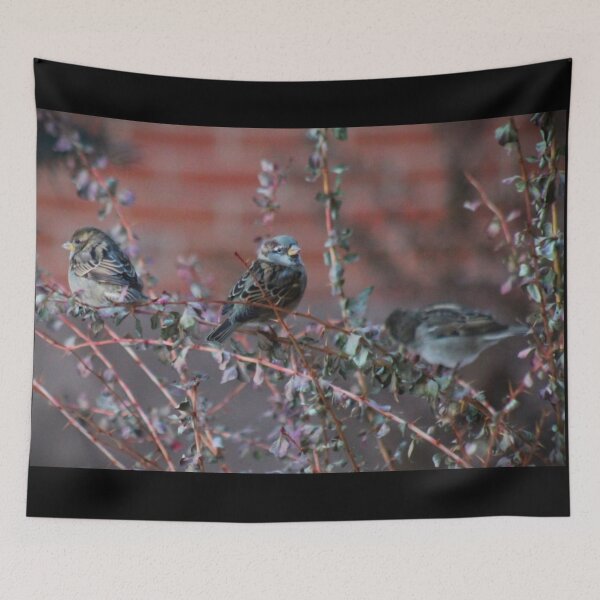 Item preview, Bird Trio designed and sold by craftsbydaphy.