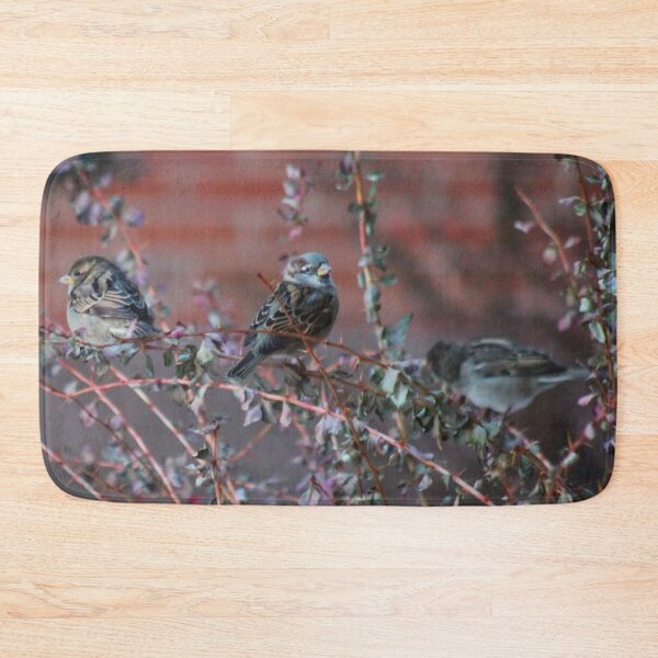 Item preview, Bird Trio designed and sold by craftsbydaphy.