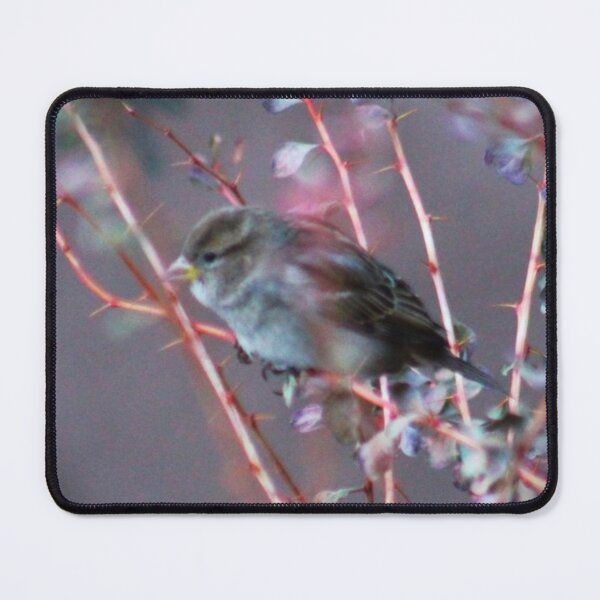 Item preview, Solitary Sparrow designed and sold by craftsbydaphy.
