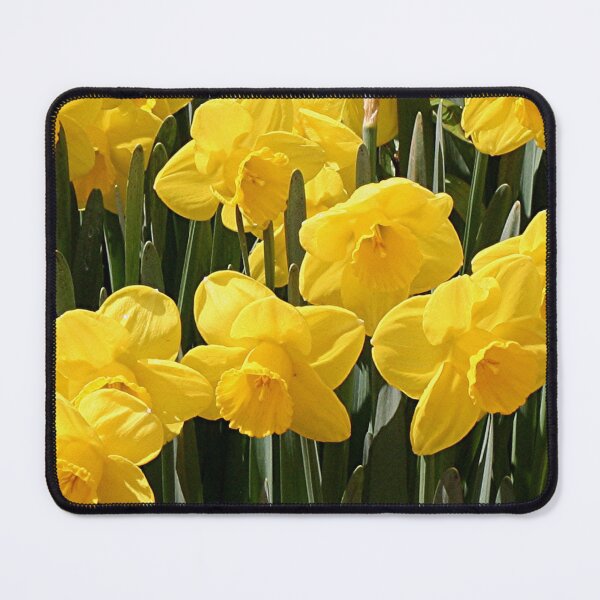 Item preview, Yellow Daffodil flowers designed and sold by FranWest.