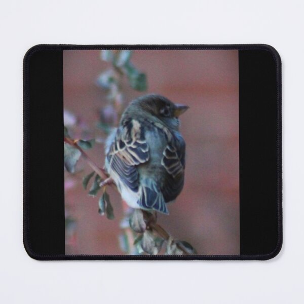 Item preview, Cute Sparrow designed and sold by craftsbydaphy.