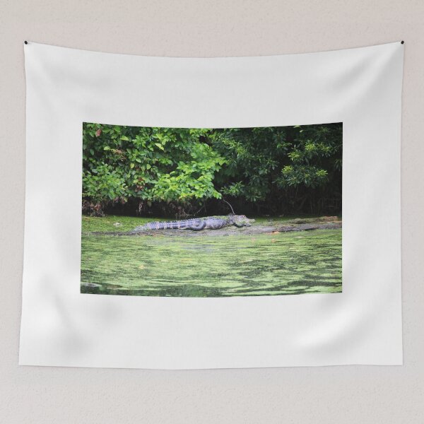 Item preview, Riverbank Alligator designed and sold by Cynthia48.