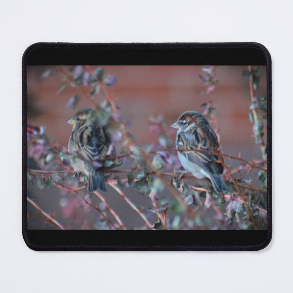 Item preview, Paired Sparrows designed and sold by craftsbydaphy.
