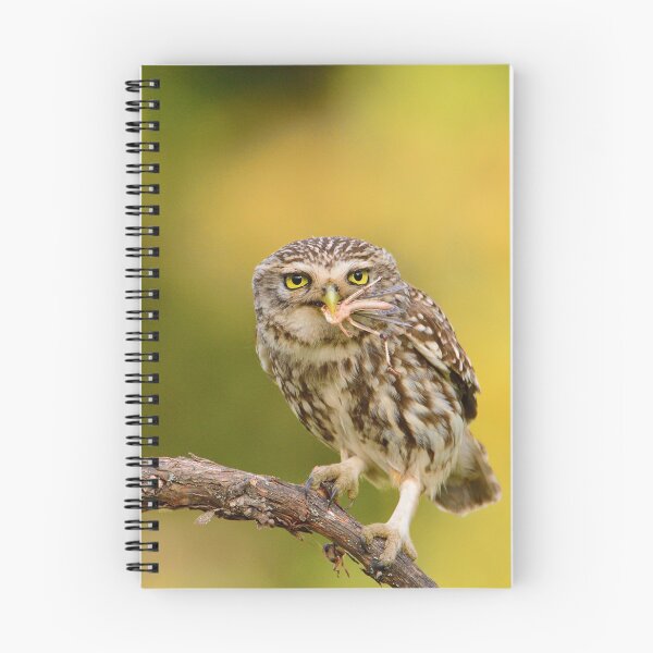 Item preview, A little owl with a grasshopper  designed and sold by DesignAstur.