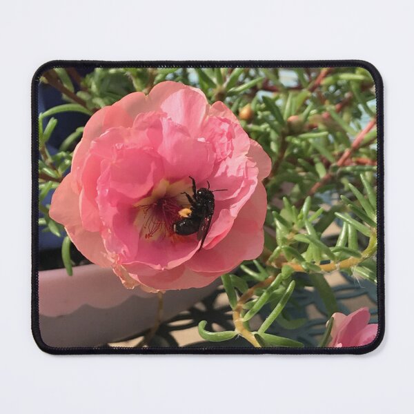 Item preview, Portulaca with Bee designed and sold by SaltyMonster.