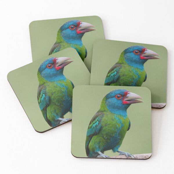 Item preview, Blue-throated Barbet on a Branch designed and sold by laguitan10.