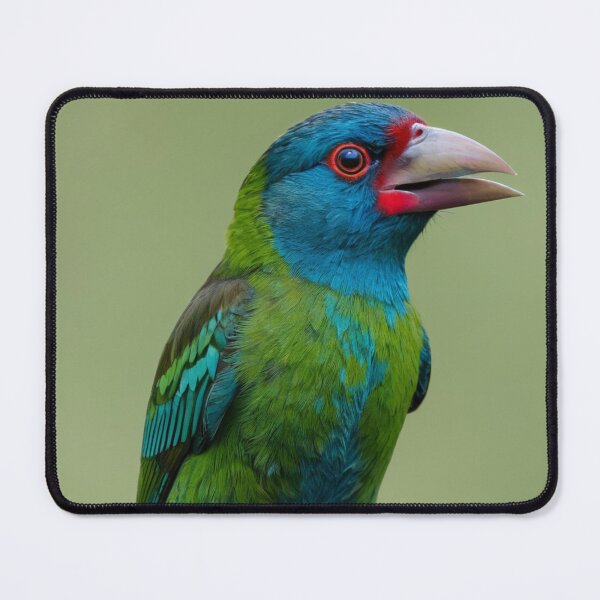 Item preview, Blue-throated Barbet on a Branch designed and sold by laguitan10.