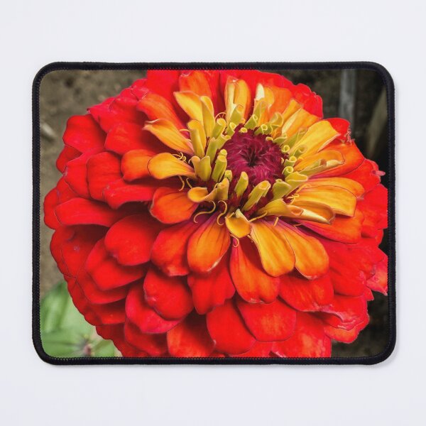 Item preview, Fair Enough designed and sold by Steve Walser.