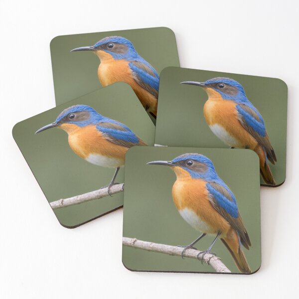 Item preview, Gorgeous Rufous Bellied Nitlava designed and sold by laguitan10.