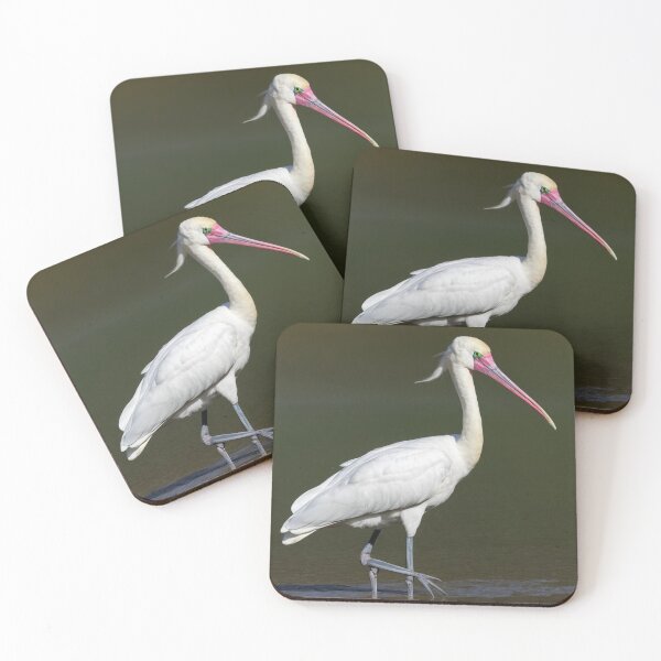 Item preview, Royal Spoonbill looking for Prey designed and sold by laguitan10.