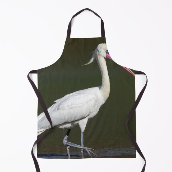 Item preview, Royal Spoonbill looking for Prey designed and sold by laguitan10.