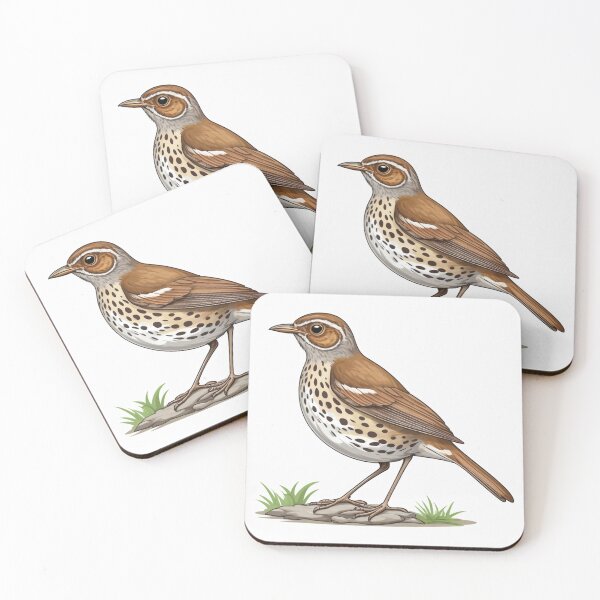 Item preview, Sri Lankan Spot Winged Thrush designed and sold by laguitan10.