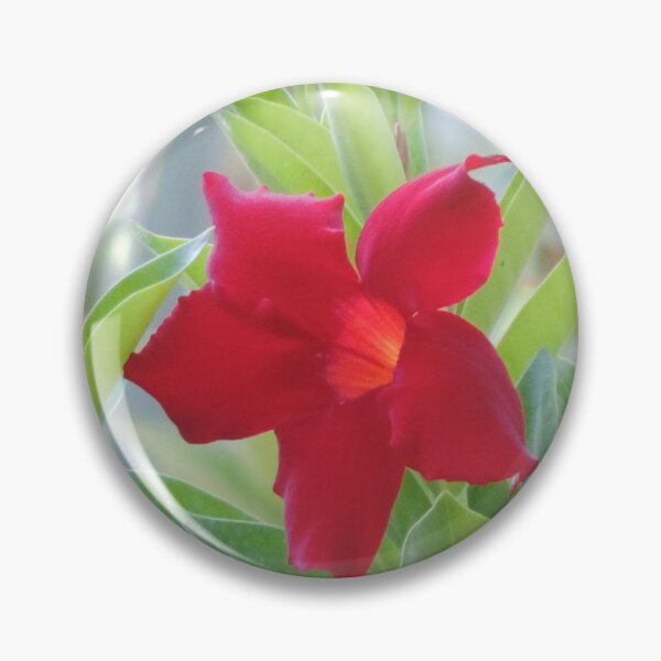 Item preview, Red flower on the vine designed and sold by Jmb67.
