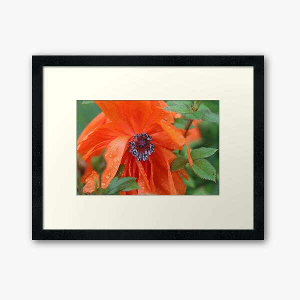 Item preview, Red Flower designed and sold by LittleStarCreat.