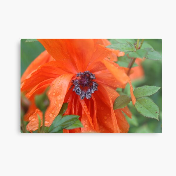 Item preview, Red Flower designed and sold by LittleStarCreat.